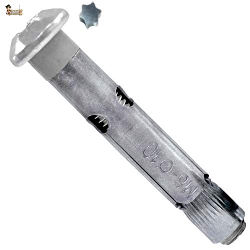 BricoLoco Anclaje metálico de expansión con tornillo inviolable. Para fijación de barrera parking, postes, rejas… (25, 8x80 (para broca 10 mm.))