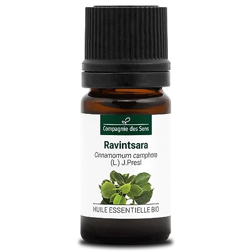 ALCANFOR - 5 mL - Aceite Esencial Orgánico de Calidad Superior - 100% Puro, Natural, Quimiotipado y Certificado AB