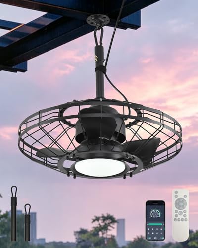 AHAWILL 20 Outdoor Ceiling Fan with Light Waterproof Gazebo Fan with Hanging Hook 6-Speed Reversible Motor Memory 3CCT Plug-in Caged Ceiling Fan with Smart App Control for Patio Porch (Black)