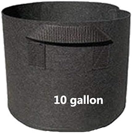 2-Pack Grow Bags/Aeration Fabric Pots with Handles(Available Capacities: 3 Gallon, 5 Gallon, 7 Gallon, 10 Gallon, 15 Gallon) (10 Gallon)