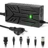 VOLOHAS Caricabatterie da 54,6 V 2 A per Kukirin G2/G2 Max, Joyor S5, Y8-S, scooter elettrico, caricatore 42 V 2 A per Xiaomi M365/Segway Ninebot F2 Pro D,E3 Pro D,Max G30/G2 di ricambio con