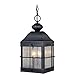 Vaxcel Revere 10" Outdoor Pendant