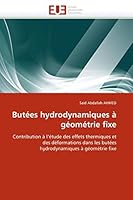 Buta(c)Es Hydrodynamiques a Ga(c)Oma(c)Trie Fixe 6131545170 Book Cover