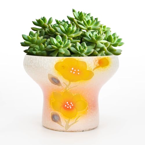 AquaLume 7.5 Inch Succulent Pot, Pretty Hand Painted Bonsai pots with Drainage Holes for Cacti & Indoor Plants, Artistic Flower Pot for Outdoor Garden & Windowsill Décor