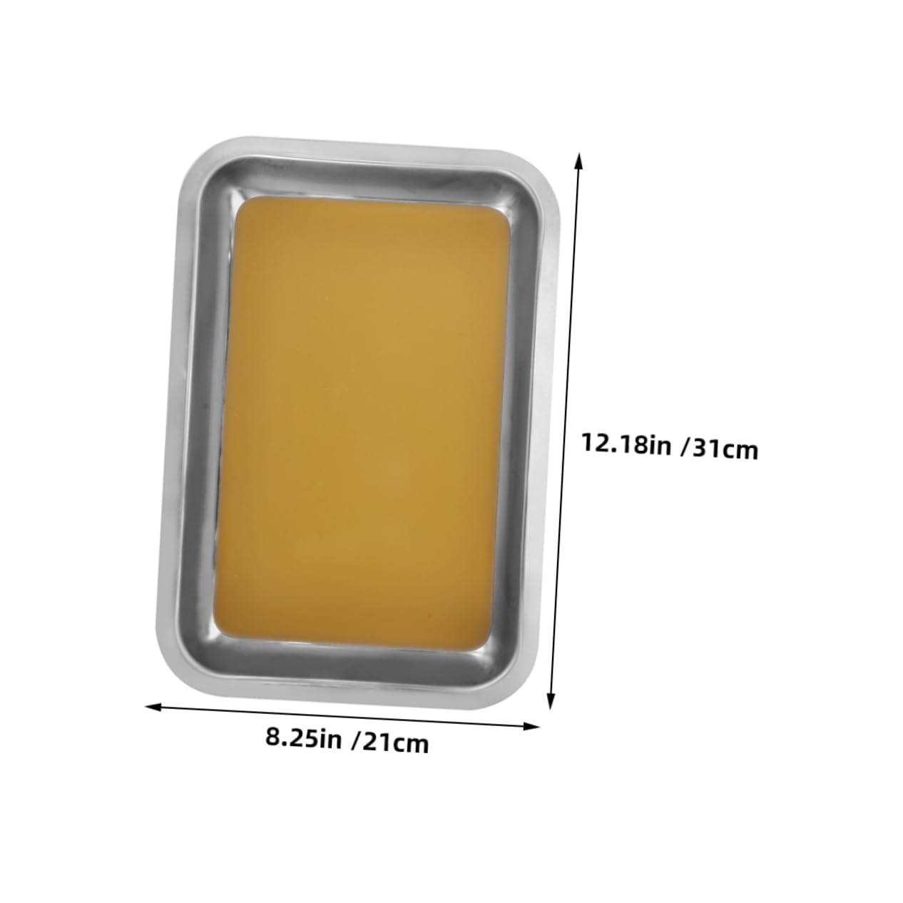 Cabilock 2pezzi Vassoio per Dissezione in Acciaio Inox Rivestimento in Cera Base Antigraffio per Laboratori e Aule Biologiche
