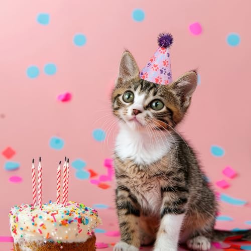 6 Stück Partyhüte Geburtstag,Partyhüte für Kuscheltiere Bunt Geburtstagshut für Hunde Und Katzen Partyhüten Mit Pompon und Glitzerdetails Kleine Kegelhüte mit Glitzer Pompons Kgeburtstagszubehör
