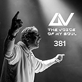 6. Everything (TVOMS 381) (Timo Pralle Remix)