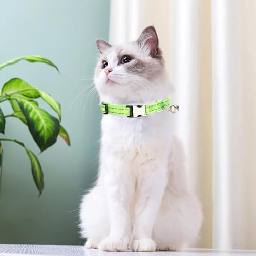Collar reflectante XS para perro y gato con campana y hebilla miniatura 3