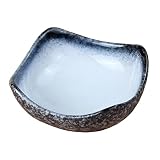 Black Temptation rétro Soucoupe Design pour Sushi Porcelaine Salade Soucoupe, 2PCS
