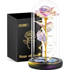 Otlonpe Preserved Forever Mothers D...