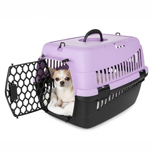HAPPET Tiertransportbox ABBA M Lila 56x37x37 cm – Robuste, gut belüftete Transportbox aus Kunststoff für Katzen & kleine Hunde, tragbare Travel...