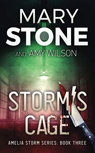 Storm's Cage (Amelia Storm FBI Mystery Series)