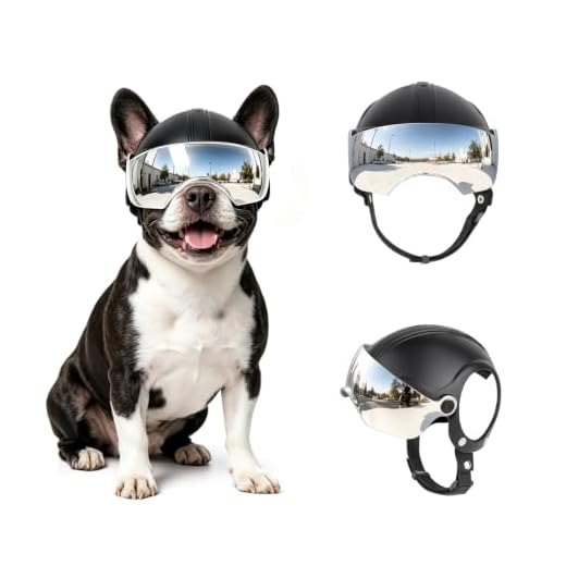 Hundehelm mit Ohrlöchern - Silber