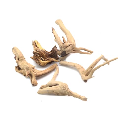 Image of 5Pcs Natural Cuckoo Wood for Aquarium, Aquarium Decor Wood Freshwater Fish Tank Reptile Driftwood Branch Length 3.93 inch to 5.9 inch