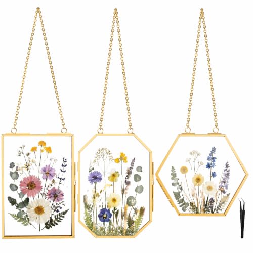 BABUFINE 3PCS Pressed Flower Frames with Tweezers for Dried Flowers Plants
