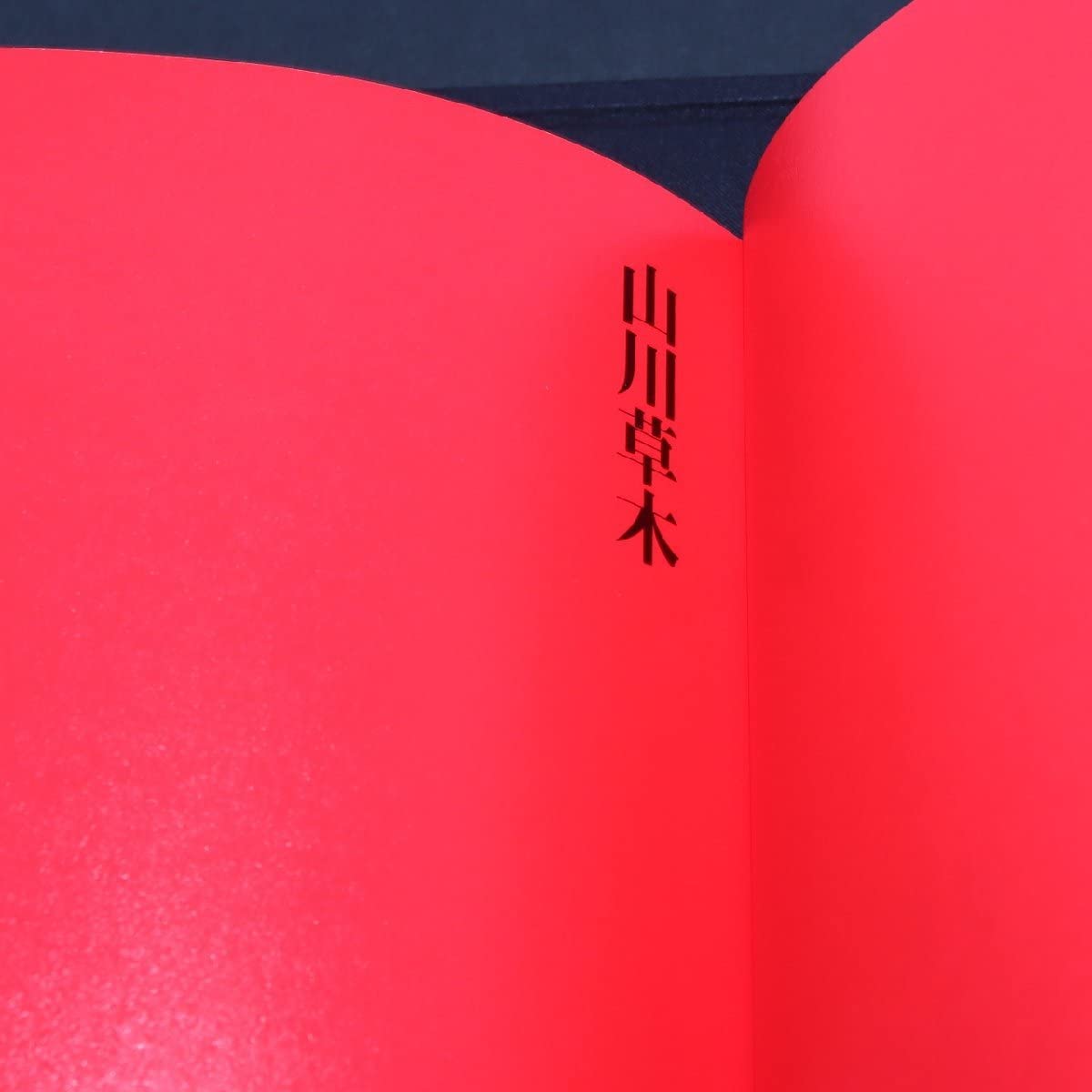 Amazon.co.jp: 緒形拳作品集 臍下丹田 : おもちゃ