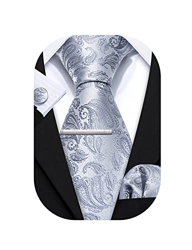 Barry.Wang Herren Krawatte Einfarbig Paisley Uni Schlips Satin Mit...