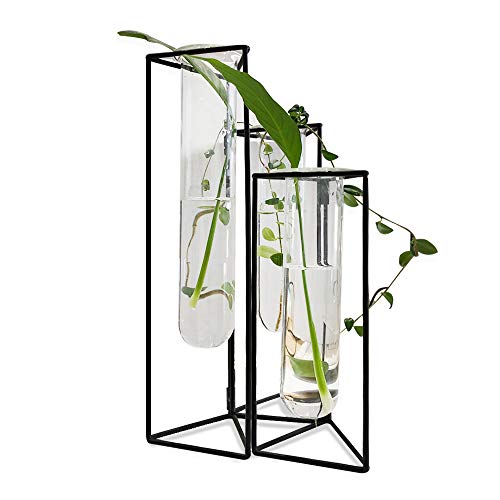Shina Set Of 3 Test Tube Vase With Black Iron Frame Stand Creative Desktop Glass Planter Hydroponics Cylinder Clear Vase For Propagating Hydroponics Plants Flower Display Home Office Decor #TOP3