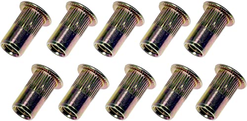 Dorman 963-251D: Rivet Nut 10-24