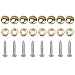 8 Pcs 12mm Dia Brass Mirror Screws with Decorative Cap Cover Nails,Golden Finish ...