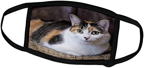 3dRose Calico cat Relaxing on a Carpeted Floor. - Face Mask, 7.25 by 4.7-inch (fm_331868_1) image 5