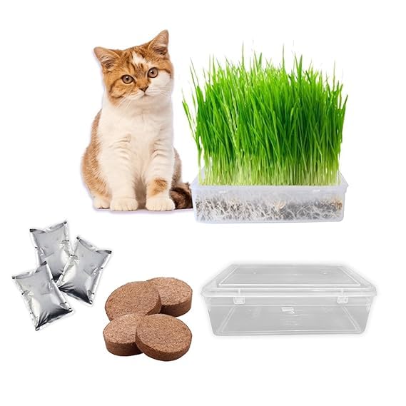 Premium Cat Grass Kit -Easy to Grow CatGrass Seeds Includes Wheat, Barley & Rye - Package Includes 4 Cocopeat Discs,Chemical Free 3 Pack Seeds Mix for 3 Harvests & 1 Container