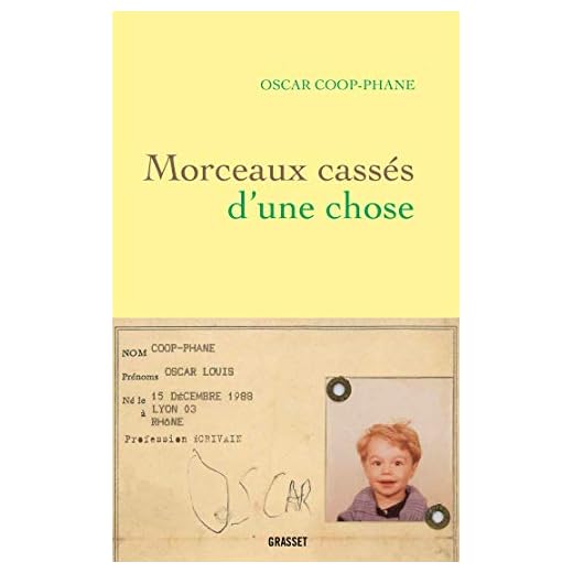 Morceaux cassés d'une chose