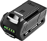 Reoben 6000mAh 40V Lithium Battery Replacement for GreenWorks 40V Battery Compatible with GreenWorks G-MAX 40V 29472 29462 2901319 24282 24252 21332 25322 20672(Black)