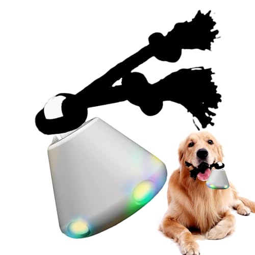C^NeBu p{[ hbO{[gC ]{[ Op ϋv {[ [d ]  lV ł hbOgC q mߋ {[ ^ ^s ߋ ^^Ή ƃTEh