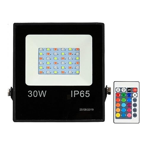 Projecteur LED 30W RGB extérieur étanche DELURA lumière de jardin