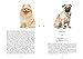 Naturelove. 50 besondere Hunde: Vom Beagle bis zum Zwergspitz. Ein Buch wird zum Kunstwerk