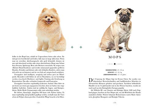 Naturelove. 50 besondere Hunde: Vom Beagle bis zum Zwergspitz. Ein Buch wird zum Kunstwerk