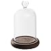 7 inch Mini Clear Glass & Wood Cloche Bell Jar Centerpiece/Tabletop Display Case w/Heart Handle