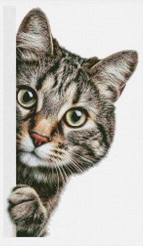 Image of Moohue Stamped Cross Stitch Kits for Adults Animal Cat 14CT Pre Printed Cross Stitch Kits for Beginners (Animal Cat)