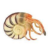 HOOTNEE Lifelike Nautilus Model Realistic Animal Figurine for Learning Nautilus Decor for Home Garden and Outdoor Spaces Fine Workmanship Steady Base
