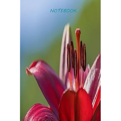 Notebook
