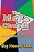 The Mega Church 2nd Edition