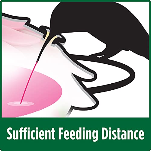 Wild Wings Wwm3D1 Real Mini 3D Hummingbird Dish Feeder, Red #TOP4