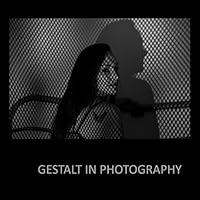 Gestalt in Photography B093RZJGDD Book Cover