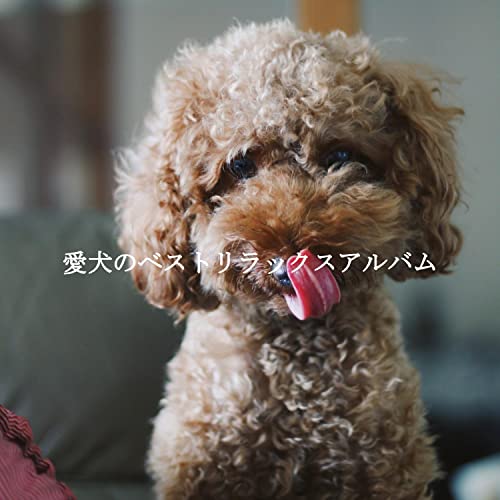 Amazon MusicでCoffee Shop Playlist & Modern Jazz Playlistの愛犬のベストリラックス