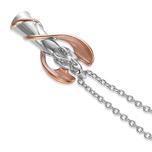 Cremation Urn Necklace for Ashes Angel Wing Keepsake Locket Stainless Steel Cross Cremation Jewelry Waterproof Memorial Pendant…3