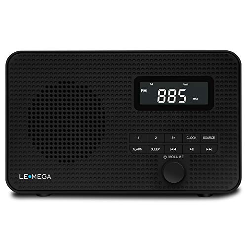 portable radio with bluetooth output