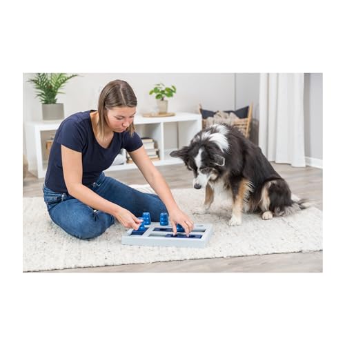 Hunde Intelligenzspielzeug Trixie Dog Activity Strategiespiel Chess