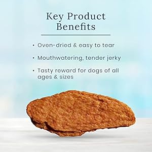 Blue buffalo nudges jerky cuts pure canine treats rooster and duck 36oz   cucciolini doodles