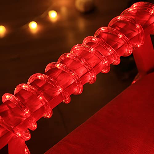 image for DINGFU 50ft 360 LED Waterproof Rope Lights,110V Connectable Indoor Out