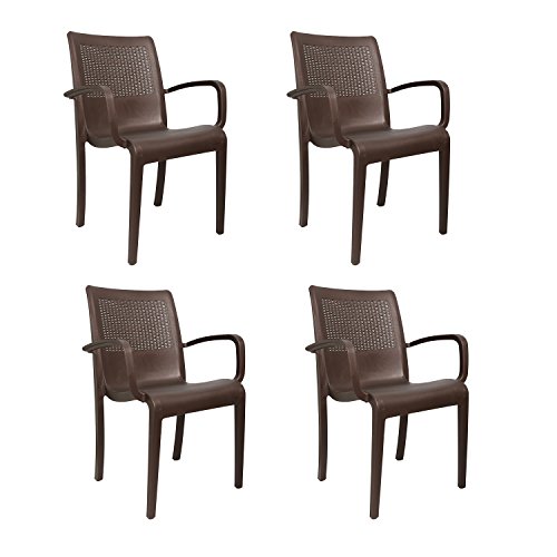 Image of Cello Ecstasy Elegant Set of 6 Chairs (Brown) | Strong and Durable | Easy to Clean | Chair for Living Room, Bed Room, Kitchen, Office Room, Outdoor | 3 Years Warranty