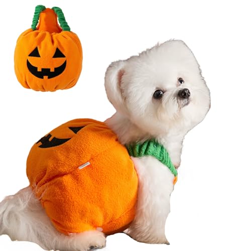 Winmany Süßes Kürbis-Kostüm für kleine Hunde und Katzen, leichtes Haustier-Halloween-Outfit, lustige Herbstkleidung für Haustiere, Party, Cosplay, Fotoshooting, Größe M