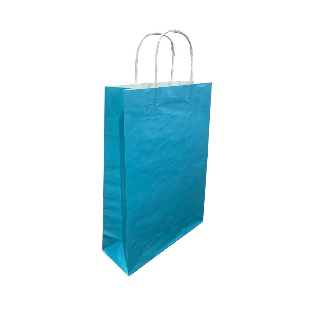 Sapco Virgin Craft Gift Paper Carry Bag for Gift Pack of 10 (12x16x5-Inch) (B0B7WPKHXD) Amazon Price History, Amazon Price Tracker