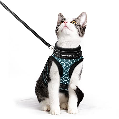 CatRomance Escape-Proof Kitten Harness and Leash Set