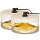 Flintronic Flohfalle Für Wohnung, 2 Stück Floh- und Bettwanzenfalle, LED Leicht Flohfallen, Flea Trap Lamp, Leichte klebrige Bettwanzenfalle, Allround-Verlockung, mit Glühbirnen und Aufkleber